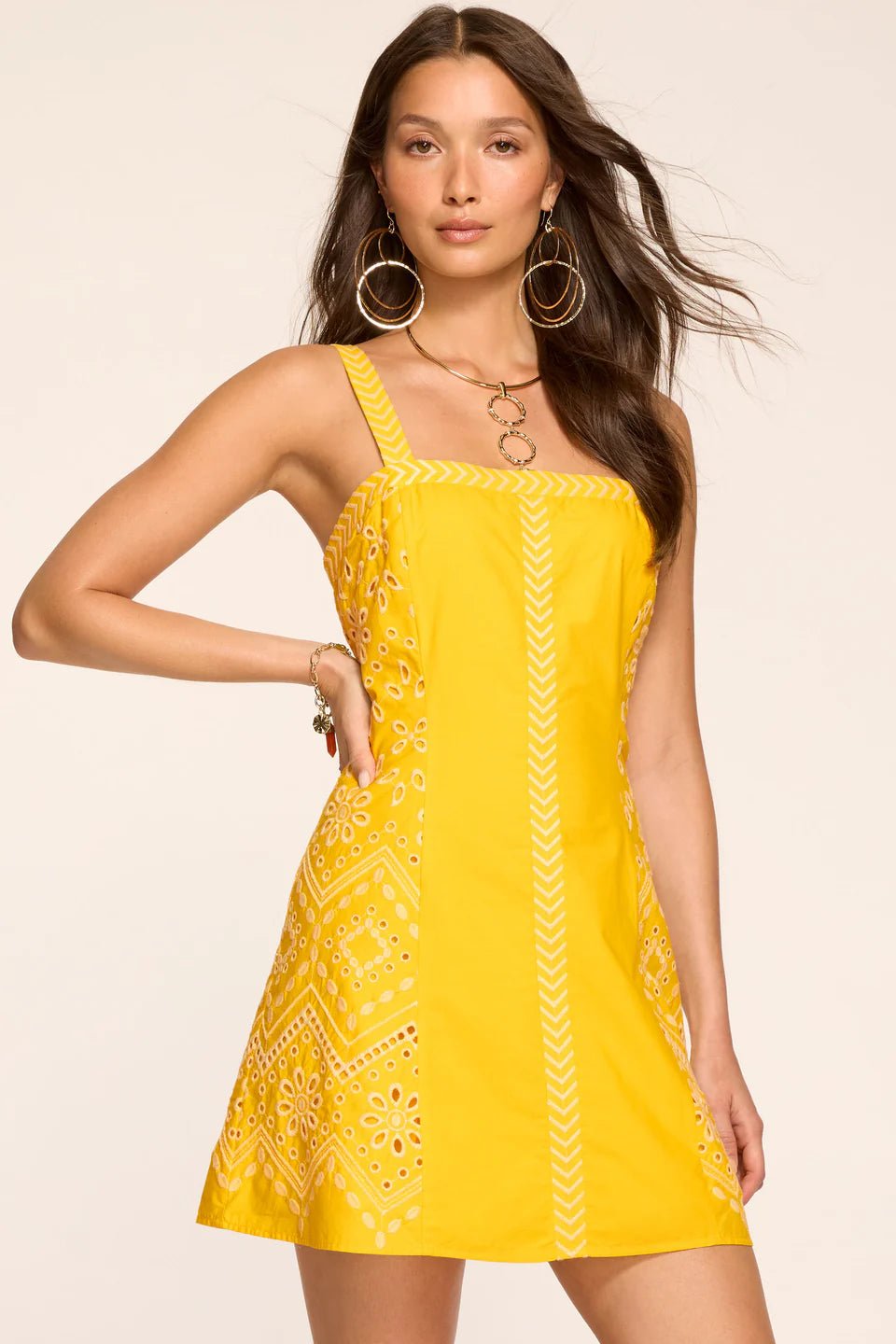 Ramy Brook Fawn Embroidered Mini Dress in Sunshine