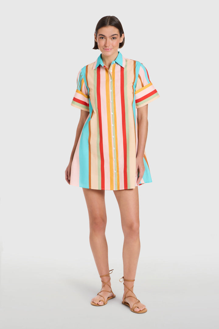 Livro Dock Dress