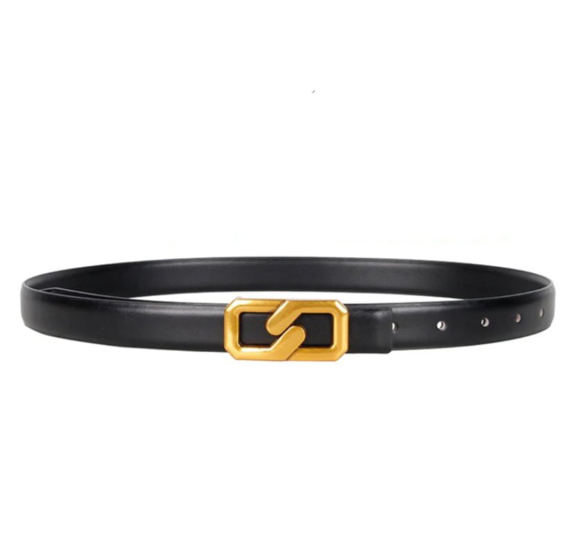 Accessory Concierge Gold Link Belt - Brown & Black - Capri by Sunset & Co.