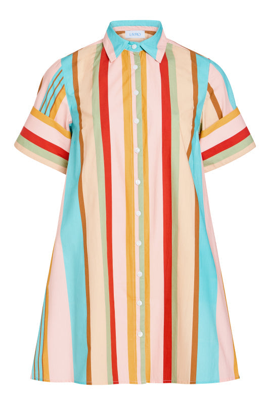 Livro Dock Dress