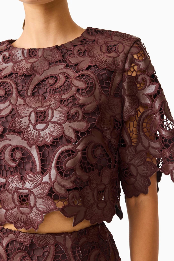 Elliatt Novelle Top
