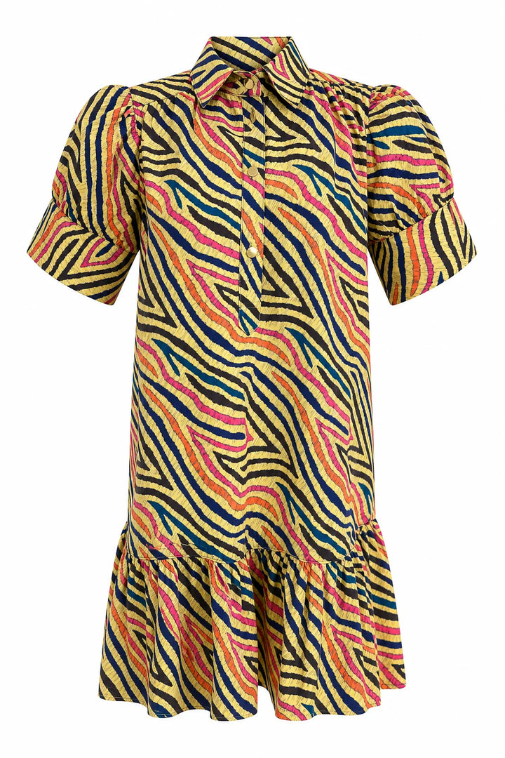 Never A Wallflower Everything Short Sleeve Dress