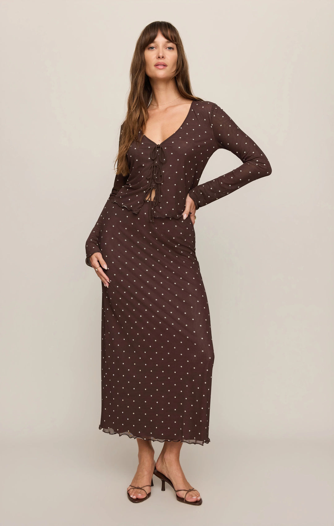 Z Supply Eda Polka Dot Mesh Midi Skirt