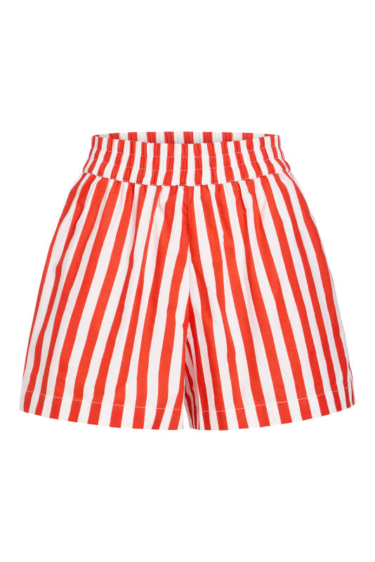 Livro Pool Shorts
