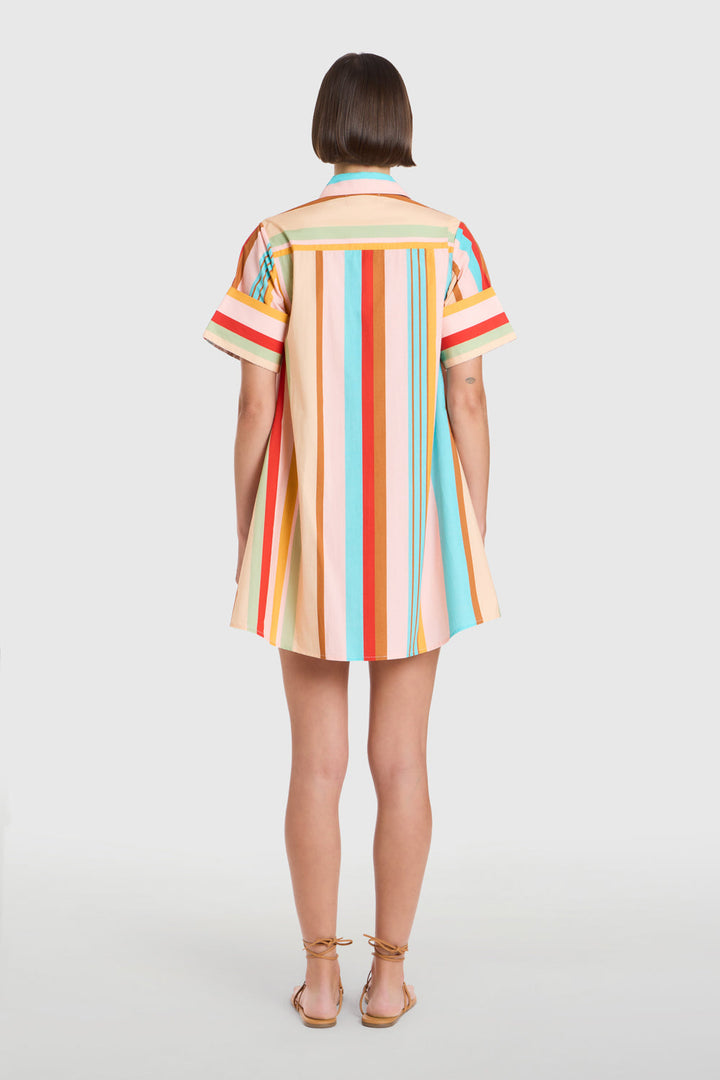 Livro Dock Dress
