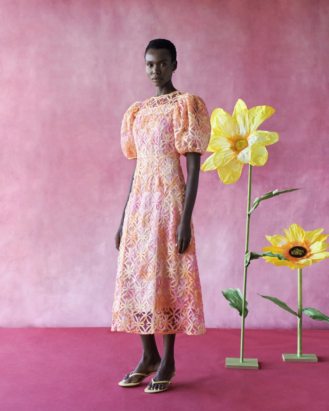 celiab pink dress Orion Dress CELIA B