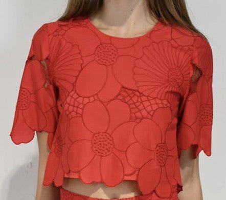 Never A Wallflower Crop Short Sleeve - Capri by Sunset & Co.