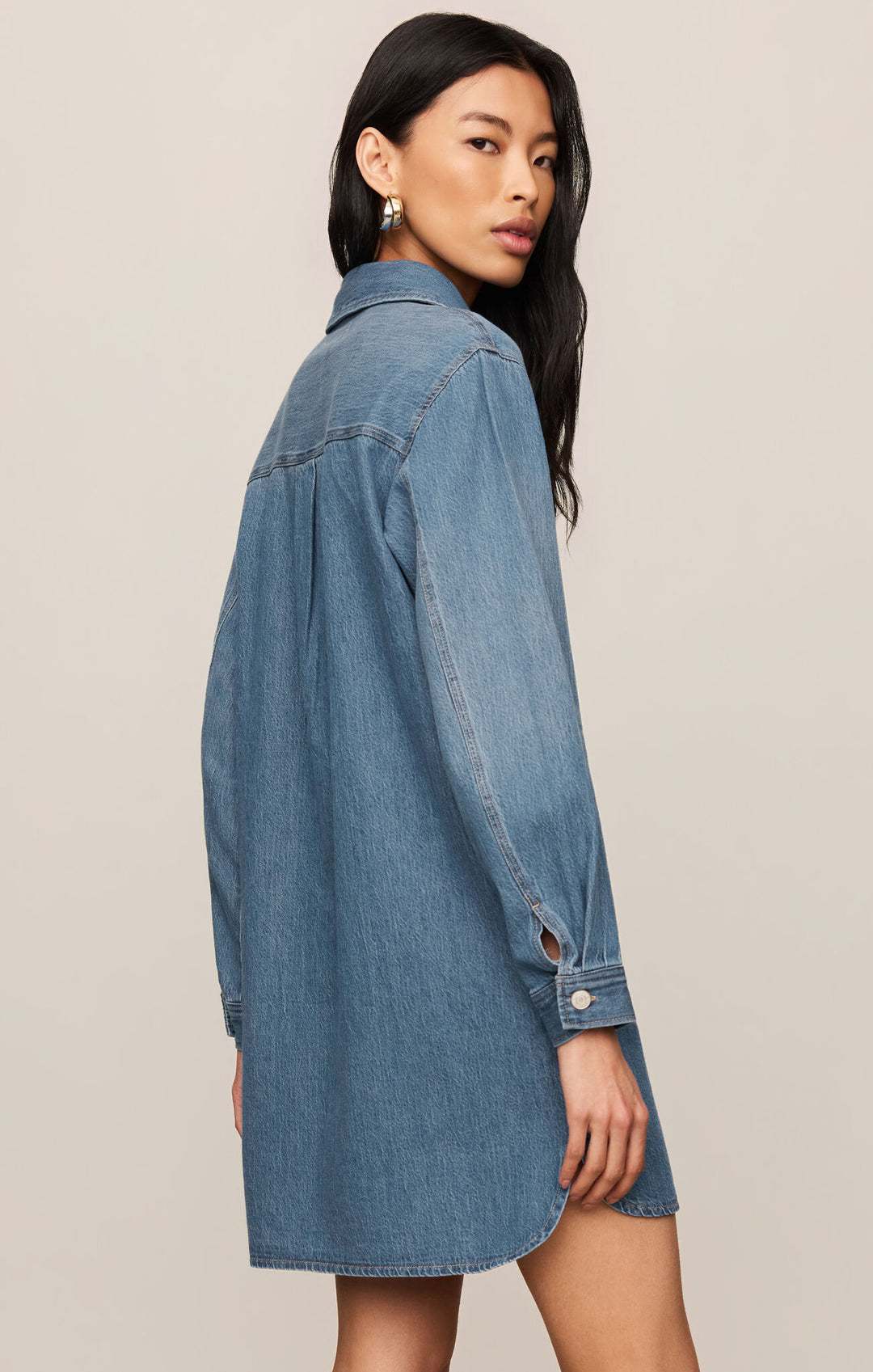 Z Supply Lucie Denim Shirt Dress